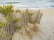 AK - Dunes and Fence